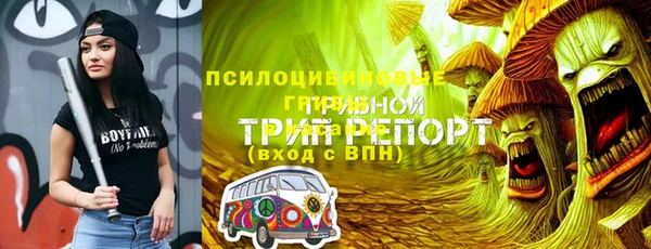 Альфа ПВП Балахна