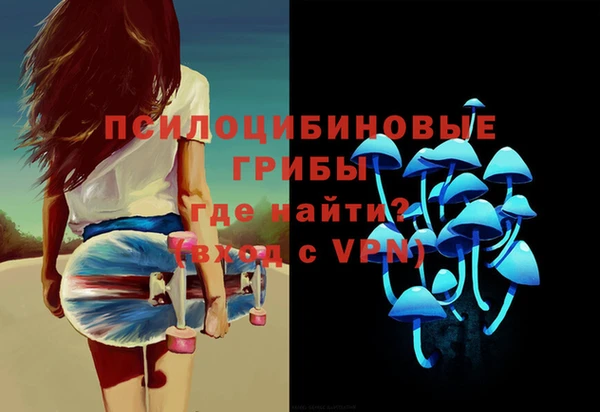 ГАЛЛЮЦИНОГЕННЫЕ ГРИБЫ Белоозёрский