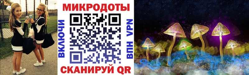 Галлюциногенные грибы мицелий закладка Светогорск